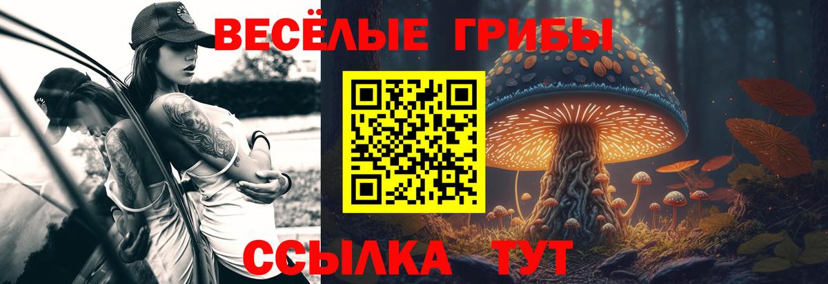Галлюциногенные грибы GOLDEN TEACHER Кашира